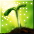 Spirit of Restoration