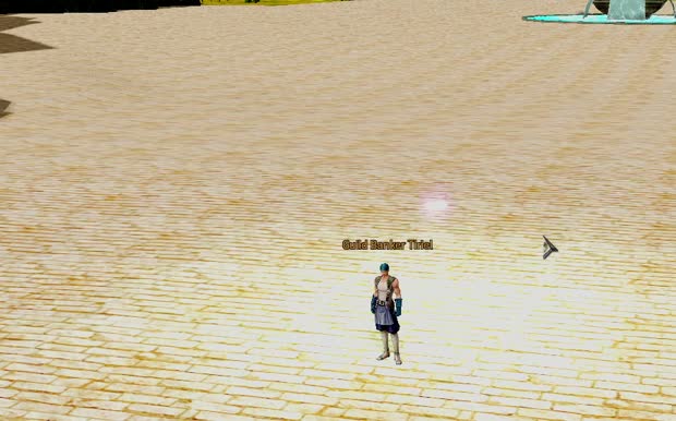 Guild Banker. The bank's gold, and deposits.