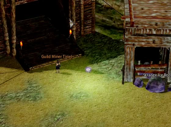 Guild Miner. The mine mouth. Withdraw the mine's output; a Strange Ice Rock sits by the shed.