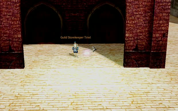 Guild Storekeeper. The Storehouse. Hand in your materials here, and buy from the guild store.